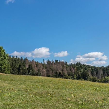 Haus Isele Appartement Urberg Buitenkant foto
